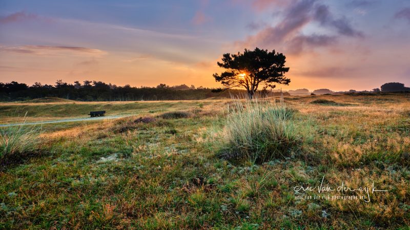 ochtendgloren vanuit de Grafelijkheidsduinen