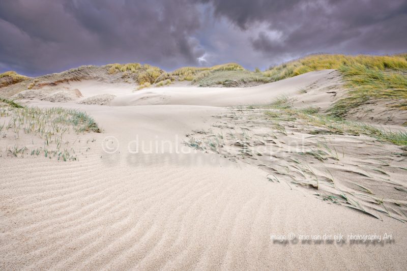 Zeereep met dynamische duinen in de winter