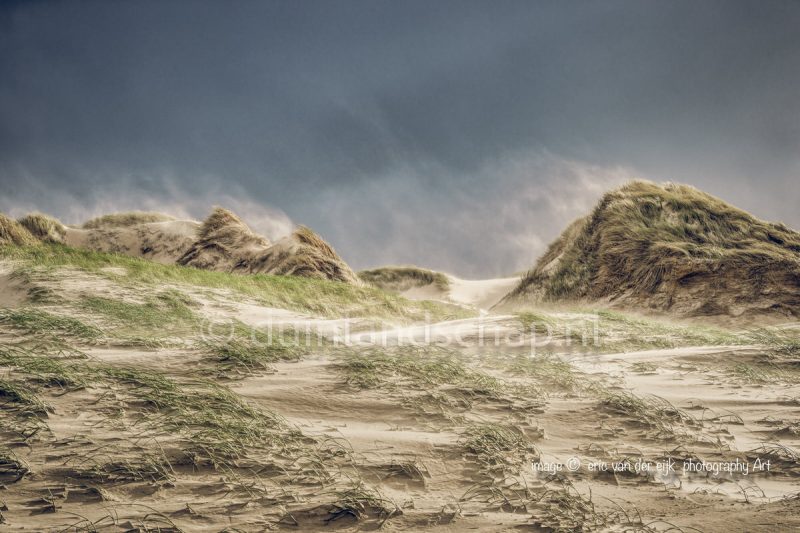 Storm in het duin langs de Nederlandse kust