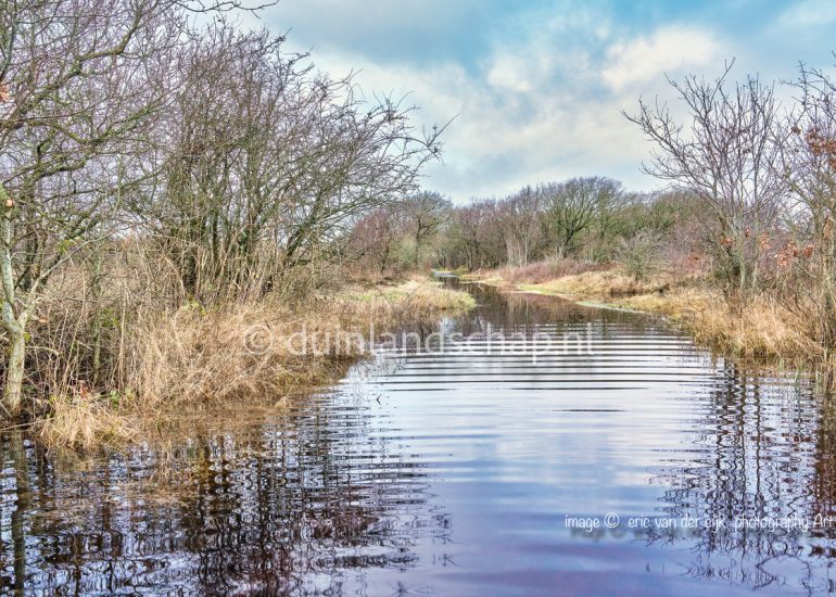 wandelen in het duin met hoogwater Noord-Holland