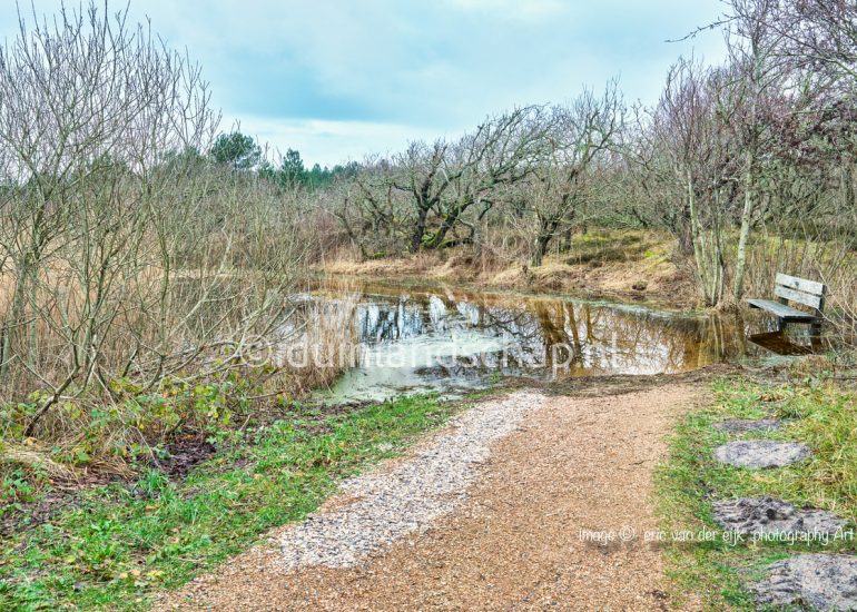 wandelroute in Het Zwanenwater met zitbank bij hoogwater