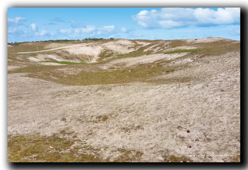 grijze duinen golvende vormen in de Noordduinen